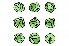 Cabbage icons set vector flat Product Image 1
