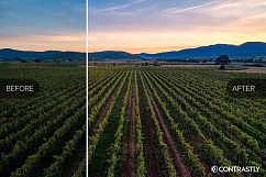 Summer Vibes Lightroom Presets Product Image 7