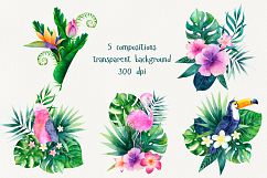 Tropical Watercolor Set Product Image 4