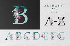 Ocean Product Image 3