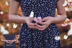 21 Butterflies Photoshop Overlays Product Image 7