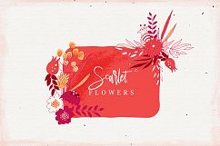Scarlet Flowers Product Image 2