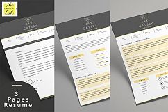 Black Gold Resume Template Product Image 2