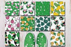 Tropics forever! Vector set Product Image 4