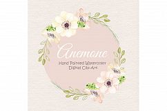 Watercolor Anemone Rose Blush clipart Product Image 1