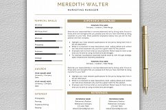 Resume Templates / CV Templates, Professional Resume Template Product Image 3