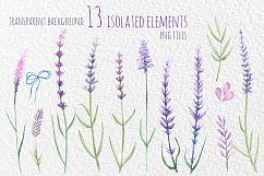 Lavender watercolor clip art Product Image 2