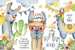 Cute llamas. Watercolor animals clipart Product Image 1