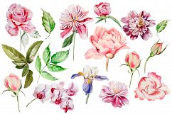 Beautiful watercolor flowers Product Image 4