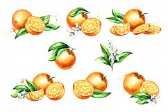 Natural Orange juice. Watercolor Product Image 3