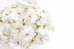 Styled photos bundle Product Image 6
