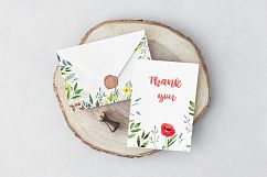 WATERCOLOR herbs, leaves, poppy, wild flowers Product Image 5