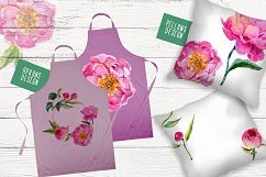Paradise pink peonies PNG watercolor set Product Image 3