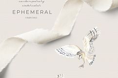 EPHEMERAL contemporary watercolor design set Product Image 4