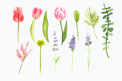 Bonjour! - Watercolor Clip Art Set  Product Image 3