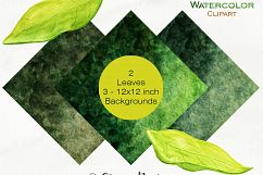 WATERCOLOR AVOCADO Clipart Avacado Vegetable Fruit Menu Clipart Healthy Foods Watercolor Digital Background Papers Product Image 5