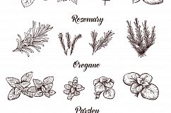   Set of vector Herbs, Spices, Smoothies and Fruits. Sketches collection of vegan food for cooking cards, stickers, labels, tags , packaging, juice.  Product Image 11