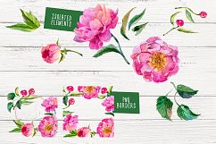 Paradise pink peonies PNG watercolor set Product Image 7