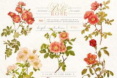 Belle Rose Antique Graphics Bundle Product Image 7