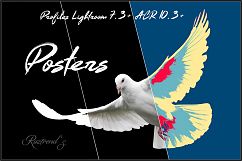 Posters Profiles LR 7.3 ACR 10.3 Product Image 1