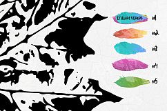 Autumn collection Product Image 3