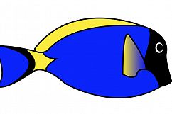 Vector Fishies Product Image 2