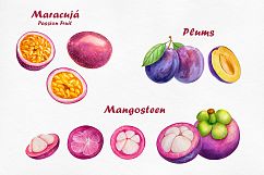 Watercolor Fruits collection Product Image 5