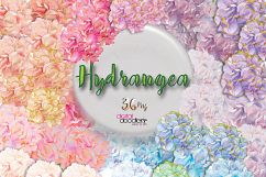 Ultimate Hydrangeas  Product Image 7