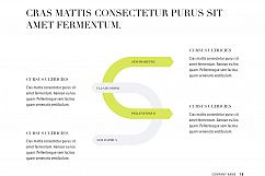 Publisher PowerPoint Template Product Image 19
