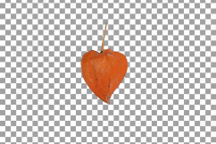 Watercolor Chinese Lantern clip art pack, Physalis alkekengi Product Image 28