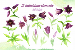 Wild flowers. Watercolor set. Product Image 2