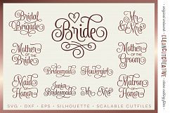 Bridal Party - Wedding Party - SET of 11 - SVG DXF EPS PNG Product Image 1