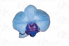 Colourful orchids watercolor clip art pack, leaves, flowers Product Image 9