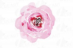 Wild leaves and flowers watercolor clip art pack Product Image 19