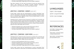 FERNS Resume/CV + Cover Letter Product Image 8