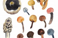 MUSHROOM SEASON Product Image 2