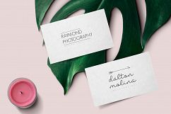120 Elegant Premade Logo Pack Product Image 2
