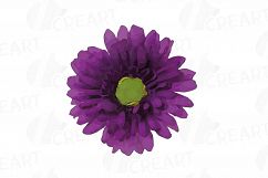 Watercolor Gerbera Daisy clip art pack, colorful gerberas 2 Product Image 9