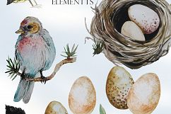 Birds And Feathers Hand Painted Watercolor Clip Art Set Product Image 2