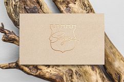 300 Shield For Logo &amp; Badge Product Image 15