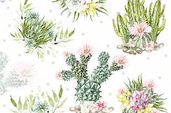 Watercolor SUCCULENTS &amp; CACTUSES Product Image 3