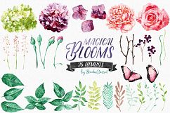 Flowers Watercolor Illustrations Product Image 2