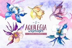 Beautiful aquilegia PNG watercolor set Product Image 7