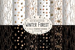 Winter Forest Product Image 5