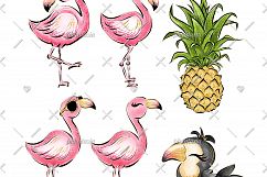 Flamingo &amp; Toucan Cliparts Product Image 2