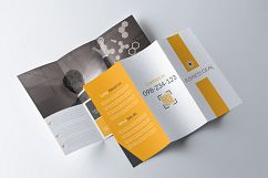 Multiuse Business Trifold Brochure Template Product Image 2