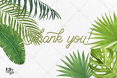 Tropical Leaves Product Image 5