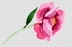 Tender pink peony PNG watercolor set Product Image 8