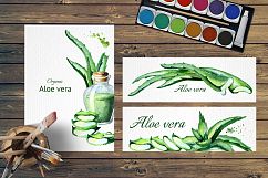 Aloe Vera Product Image 5