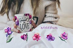 Purple Alstroemeria PNG watercolor set Product Image 4